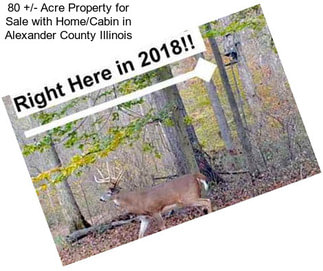 80 +/- Acre Property for Sale with Home/Cabin in Alexander County Illinois