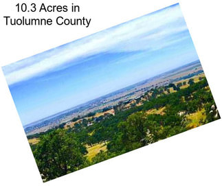 10.3 Acres in Tuolumne County
