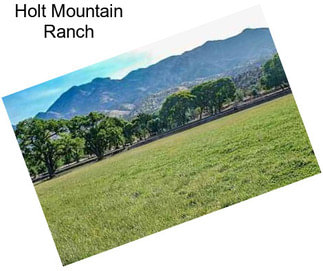 Holt Mountain Ranch