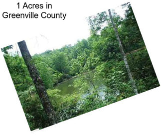 1 Acres in Greenville County