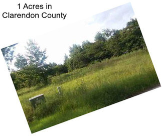 1 Acres in Clarendon County