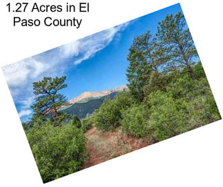 1.27 Acres in El Paso County