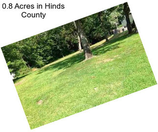 0.8 Acres in Hinds County