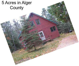 5 Acres in Alger County