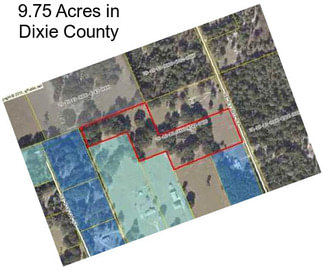 9.75 Acres in Dixie County