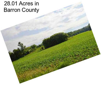 28.01 Acres in Barron County