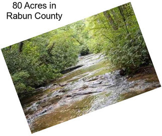 80 Acres in Rabun County