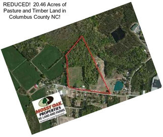 REDUCED!  20.46 Acres of Pasture and Timber Land in Columbus County NC!