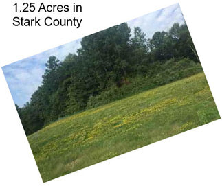 1.25 Acres in Stark County