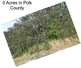 0 Acres in Polk County