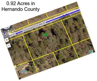 0.92 Acres in Hernando County