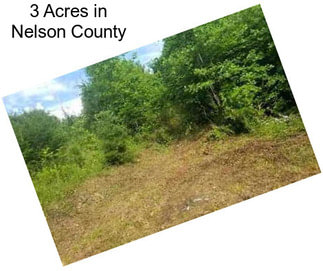3 Acres in Nelson County