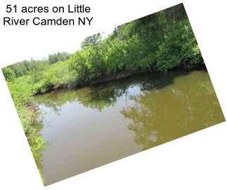 51 acres on Little River Camden NY