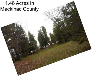 1.48 Acres in Mackinac County