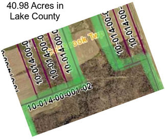 40.98 Acres in Lake County