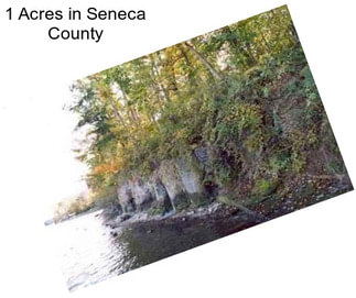 1 Acres in Seneca County