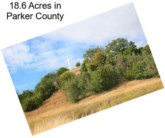 18.6 Acres in Parker County