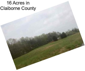 16 Acres in Claiborne County