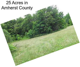 25 Acres in Amherst County