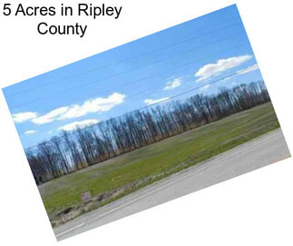 5 Acres in Ripley County