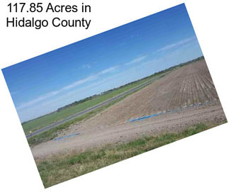 117.85 Acres in Hidalgo County