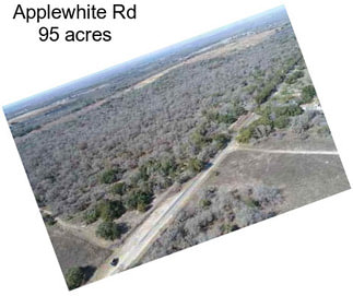 Applewhite Rd 95 acres