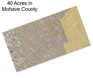 40 Acres in Mohave County