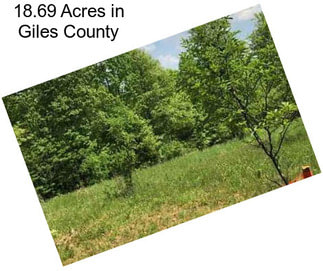 18.69 Acres in Giles County