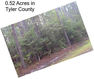 0.52 Acres in Tyler County