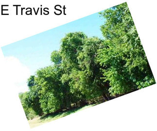 E Travis St