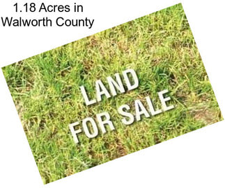 1.18 Acres in Walworth County