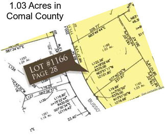 1.03 Acres in Comal County
