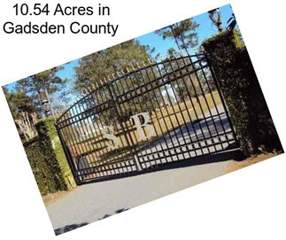 10.54 Acres in Gadsden County