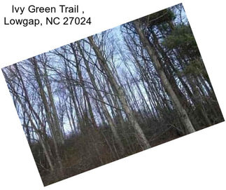 Ivy Green Trail , Lowgap, NC 27024