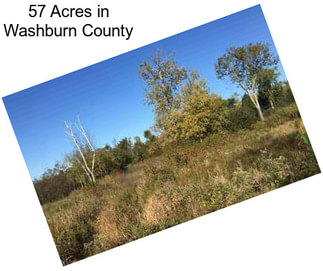 57 Acres in Washburn County