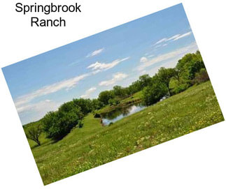 Springbrook Ranch