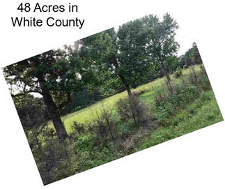 48 Acres in White County