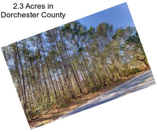 2.3 Acres in Dorchester County