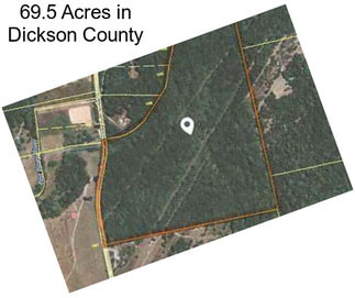 69.5 Acres in Dickson County