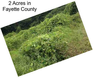 2 Acres in Fayette County