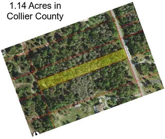 1.14 Acres in Collier County