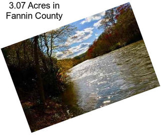 3.07 Acres in Fannin County