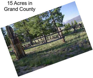 15 Acres in Grand County