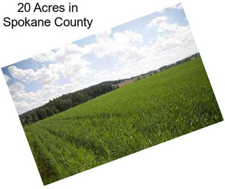 20 Acres in Spokane County