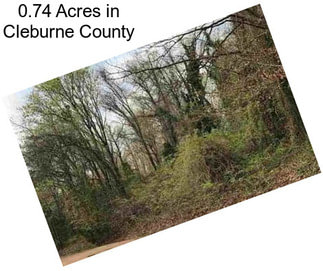 0.74 Acres in Cleburne County