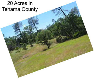 20 Acres in Tehama County