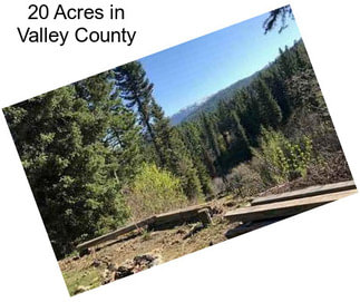 20 Acres in Valley County