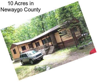 10 Acres in Newaygo County