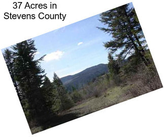 37 Acres in Stevens County