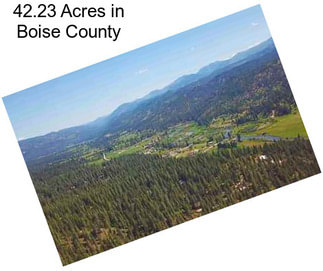 42.23 Acres in Boise County